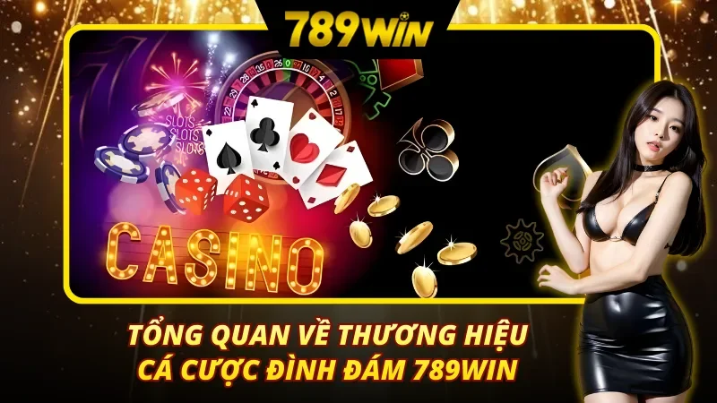 Lịch sử hình thành và vị thế quốc tế của 789win